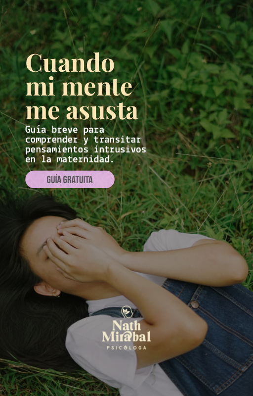 Guía breve