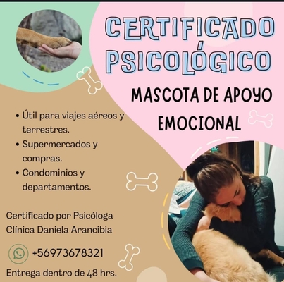 Certificado psicológico de mascota de soporte emocional