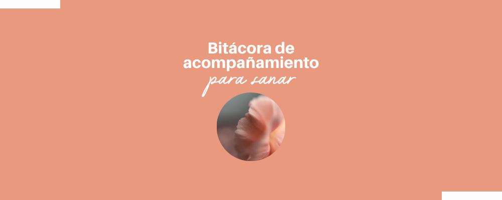 Bitácora de Acompañamiento para Sanar