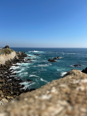 MEDITACIÓN GUIADA DE LA RESPIRACIÓN