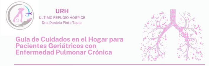 Consejos de cuidados en el Hogar para Pacientes Geriátricos con Enfermedad Pulmonar Crónica