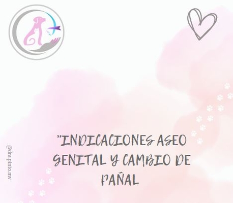 CONSEJOS ASEO GENITAL Y CAMBIO DE PAÑAL