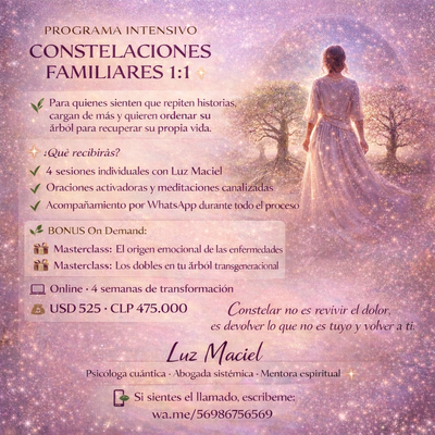 Programa de Constelaciones Familiares