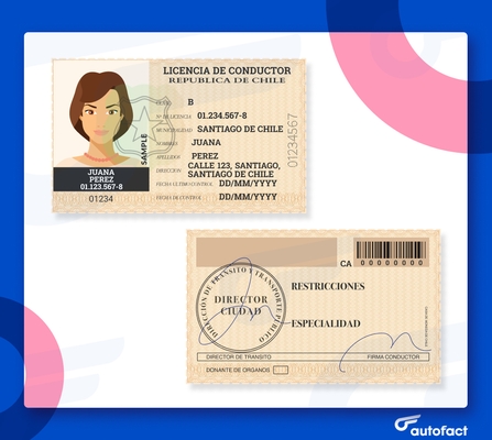 Licencia de conducir clase B