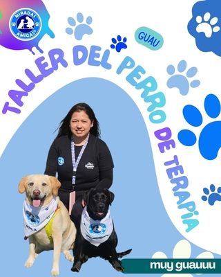 Taller introducción al perrito de terapia