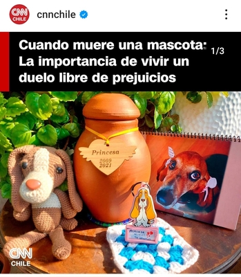 Entrevista CNN : "Cuando muere una mascota: La importancia de vivir un duelo libre de prejuicios"