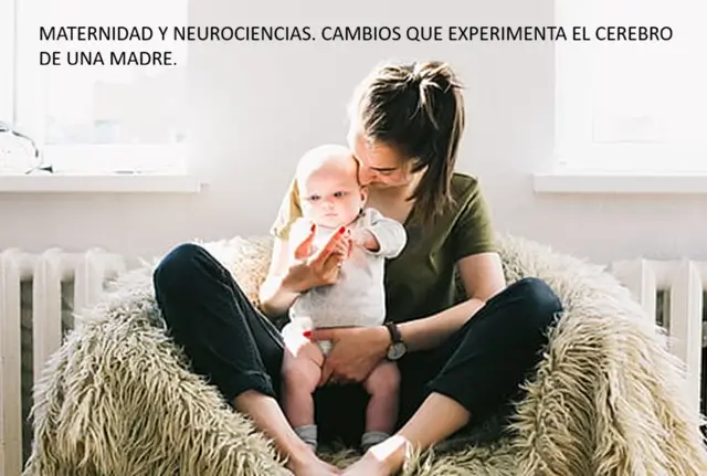 Maternidad y Neurociencias