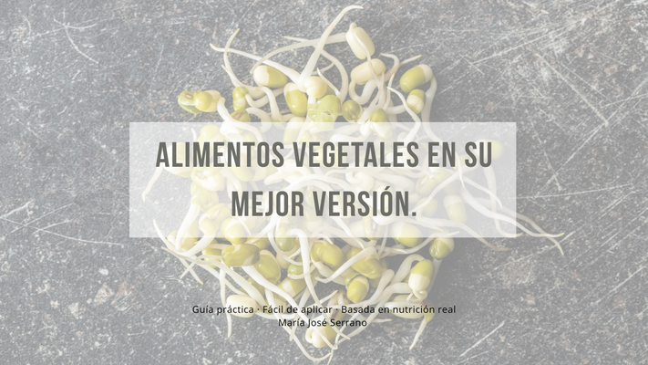 Alimentos vegetales en su mejor versión