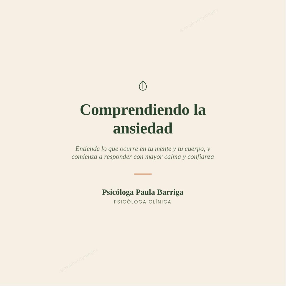 Comprendiendo la ansiedad🌿