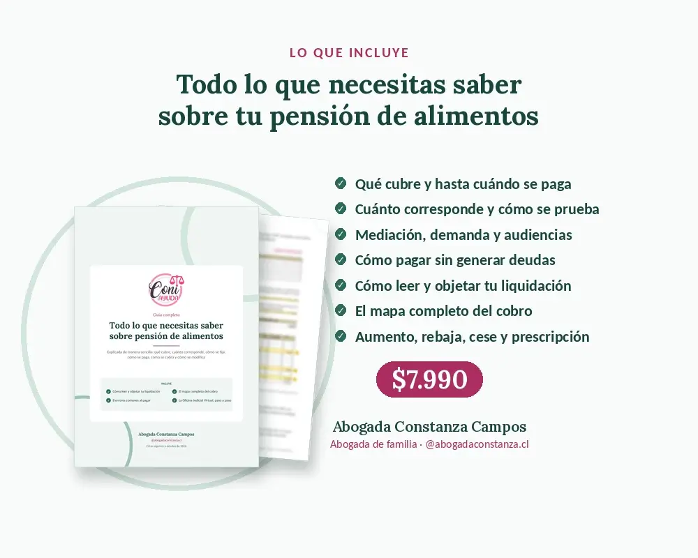 Manual: «Todo lo que necesitas saber sobre la pensión de alimentos»