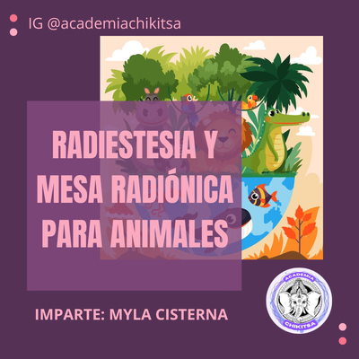 Foto de portada