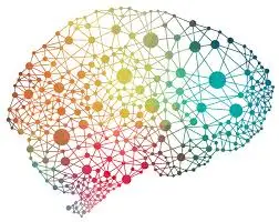 Neurodesarrollo y plasticidad en el cerebro adolescente