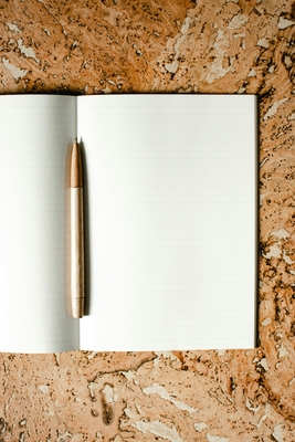 Bitácora emocional: recurso de escritura terapéutica