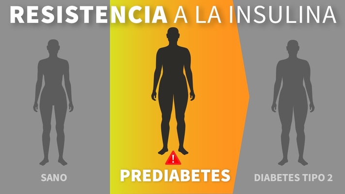 Recomendaciones Alimentarias: Prediabetes y Resistencia a la Insulina