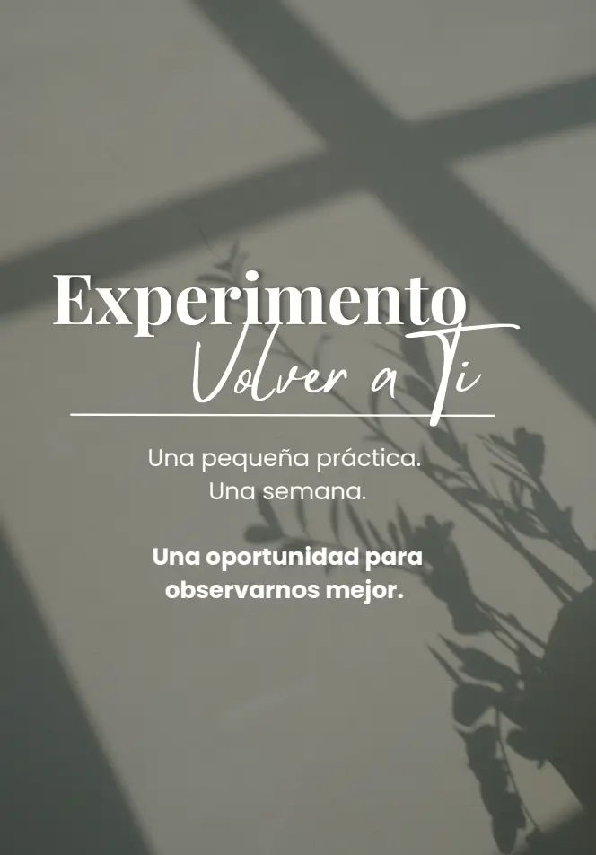 Tracker - Experimento VOLVER A TI 🌻✨